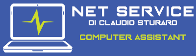 logo netservice 2018